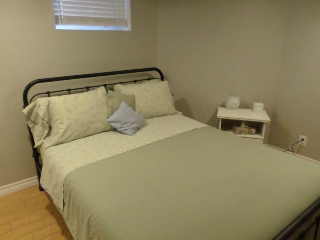 Fantastic And Modern Downtown 1-Bed Basement Apt., Parking Wi-Fi And Netflix Included Ottawa Exterior foto