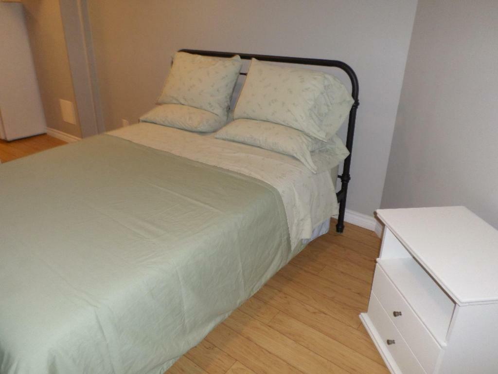 Fantastic And Modern Downtown 1-Bed Basement Apt., Parking Wi-Fi And Netflix Included Ottawa Exterior foto